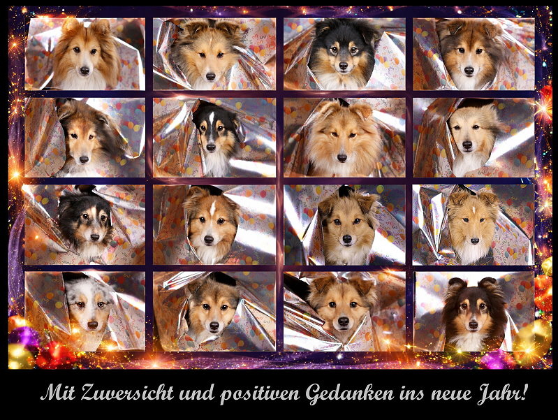 Mit Zuversicht und positiven Gedanken ins neue Jahr! 