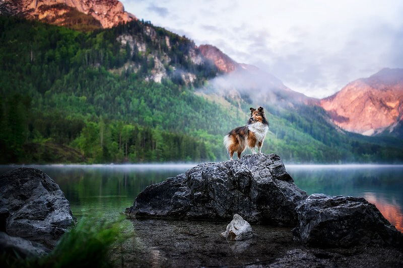 Quinoa vom Affinger Bach