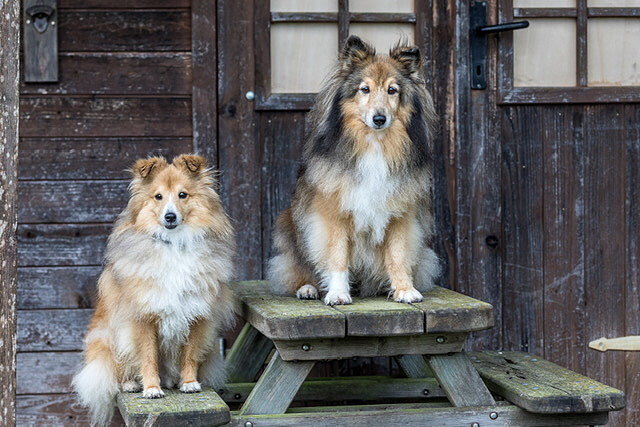 Liesl und Resi - zwei wunderbare AB-M�dels
